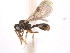  ( - 10COSTA-1383)  @14 [ ] Unspecified (default): All Rights Reserved  Unspecified Unspecified