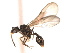  ( - 08COSTA-0020)  @13 [ ] Unspecified (default): All Rights Reserved  Unspecified Unspecified