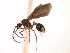  ( - 08COSTA-0044)  @13 [ ] Unspecified (default): All Rights Reserved  Unspecified Unspecified