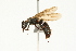  ( - 08COSTA-0092)  @14 [ ] Unspecified (default): All Rights Reserved  Unspecified Unspecified