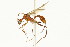  ( - 08COSTA-0141)  @14 [ ] Unspecified (default): All Rights Reserved  Unspecified Unspecified