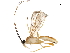  (Triraphis carolinepalmerae - DHJPAR0045383)  @13 [ ] CreativeCommons - Attribution (2018) CBG Photography Group Centre for Biodiversity Genomics
