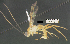 ( - DHJPAR0049947)  @11 [ ] CreativeCommons Attribution NonCommercial ShareAlike (2021) M. J. Sharkey University of Kentucky