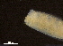  ( - DHJPAR0046223)  @11 [ ] CreativeCommons - Attribution (2019) CBG Photography Group Centre for Biodiversity Genomics