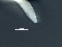  ( - DHJPAR0046227)  @11 [ ] CreativeCommons - Attribution (2019) CBG Photography Group Centre for Biodiversity Genomics