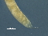  ( - DHJPAR0046227)  @11 [ ] CreativeCommons - Attribution (2019) CBG Photography Group Centre for Biodiversity Genomics