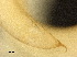  ( - DHJPAR0046245)  @11 [ ] CreativeCommons - Attribution (2019) CBG Photography Group Centre for Biodiversity Genomics
