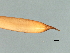  ( - DHJPAR0046258)  @11 [ ] CreativeCommons - Attribution (2019) CBG Photography Group Centre for Biodiversity Genomics