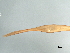  ( - DHJPAR0046258)  @11 [ ] CreativeCommons - Attribution (2019) CBG Photography Group Centre for Biodiversity Genomics