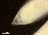  ( - DHJPAR0046297)  @11 [ ] CreativeCommons - Attribution (2019) CBG Photography Group Centre for Biodiversity Genomics