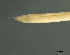  ( - DHJPAR0046335)  @11 [ ] CreativeCommons - Attribution (2019) CBG Photography Group Centre for Biodiversity Genomics