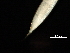  ( - DHJPAR0046394)  @11 [ ] CreativeCommons - Attribution (2019) CBG Photography Group Centre for Biodiversity Genomics