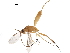  ( - DHJPAR0051309)  @11 [ ] CreativeCommons - Attribution (2018) CBG Photography Group Centre for Biodiversity Genomics