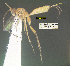  (Stantonia billalleni - DHJPAR0051309)  @11 [ ] CreativeCommons Attribution NonCommercial ShareAlike (2021) M. J. Sharkey University of Kentucky