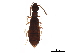  ( - CHARS00013-G03)  @11 [ ] CreativeCommons - Attribution (2019) CBG Photography Group Centre for Biodiversity Genomics