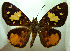  ( - MLIB-0377)  @13 [ ] CreativeCommons - Attribution (2010) Michel Libert Centre for Biodiversity Genomics
