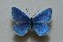 ( - MLIB-2477)  @11 [ ] CreativeCommons - Attribution Non-Commercial Share-Alike (2018) Frédéric Carbonell Centre for Biodiversity Genomics