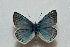  ( - MLIB-2479)  @11 [ ] CreativeCommons - Attribution Non-Commercial Share-Alike (2018) Frédéric Carbonell Centre for Biodiversity Genomics