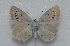  ( - MLIB-2593)  @11 [ ] CreativeCommons - Attribution Non-Commercial Share-Alike (2019) Frédéric Carbonell Centre for Biodiversity Genomics