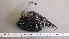 ( - CRT003)  @11 [ ] Unspecified (default): All Rights Reserved  Unspecified Unspecified