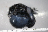  ( - CRT004)  @11 [ ] Unspecified (default): All Rights Reserved  Unspecified Unspecified