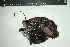  ( - CRT006)  @11 [ ] Unspecified (default): All Rights Reserved  Unspecified Unspecified