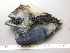  ( - CRT028)  @11 [ ] Unspecified (default): All Rights Reserved  Unspecified Unspecified