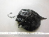  ( - CRT029)  @11 [ ] Unspecified (default): All Rights Reserved  Unspecified Unspecified