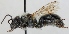  ( - FACU-000172)  @13 [ ] CreativeCommons - Attribution Non-Commercial (2012) Marko Mutanen University of Oulu