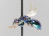  ( - MZH_GP.92637)  @13 [ ] CreativeCommons - Attribution Non-Commercial (2014) Juho Paukkunen Finnish Museum of Natural History