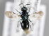  ( - MZH_GP.92650)  @13 [ ] CreativeCommons - Attribution Non-Commercial (2014) Juho Paukkunen Finnish Museum of Natural History