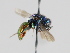  ( - MZH_GP.92662)  @14 [ ] CreativeCommons - Attribution Non-Commercial (2014) Juho Paukkunen Finnish Museum of Natural History