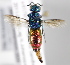  ( - MZH_GP.92680)  @14 [ ] CreativeCommons - Attribution Non-Commercial (2014) Juho Paukkunen Finnish Museum of Natural History