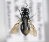  ( - MZH_GP.92698)  @13 [ ] CreativeCommons - Attribution Non-Commercial (2014) Juho Paukkunen Finnish Museum of Natural History