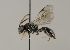  ( - MZH_GP.94746)  @13 [ ] CreativeCommons - Attribution Non-Commercial (2012) Juho Paukkunen Finnish Museum of Natural History