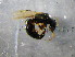  ( - bf-bet-00008)  @13 [ ] CreativeCommons - Attribution Non-Commercial Share-Alike (2015) Kjell Magne Olsen BioFokus