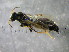  ( - bf-bet-00009)  @13 [ ] CreativeCommons - Attribution Non-Commercial Share-Alike (2015) Kjell Magne Olsen BioFokus