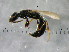  ( - bf-bet-00011)  @13 [ ] CreativeCommons - Attribution Non-Commercial Share-Alike (2015) Kjell Magne Olsen BioFokus