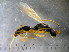  ( - bf-dry-00059)  @13 [ ] CreativeCommons - Attribution Non-Commercial Share-Alike (2015) Kjell Magne Olsen BioFokus