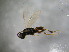  ( - bf-dry-00090)  @11 [ ] CreativeCommons - Attribution Non-Commercial Share-Alike (2015) Kjell Magne Olsen BioFokus