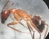  ( - AAI_36)  @12 [ ] Unspecified (default): All Rights Reserved  Unspecified Unspecified
