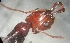  ( - AAI_53)  @12 [ ] Unspecified (default): All Rights Reserved  Unspecified Unspecified