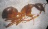  ( - AAI_61)  @12 [ ] Unspecified (default): All Rights Reserved  Unspecified Unspecified