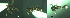  ( - 17S701)  @11 [ ] CreativeCommons  Attribution Non-Commercial Share-Alike (2020) S. Schär; M. Menchetti; E. Schifani Institut de Biologia Evolutiva (CSIC-UPF), Butterfly Diversity and Evolution Lab
