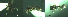  ( - 17S701)  @11 [ ] CreativeCommons  Attribution Non-Commercial Share-Alike (2020) S. Schär; M. Menchetti; E. Schifani Institut de Biologia Evolutiva (CSIC-UPF), Butterfly Diversity and Evolution Lab