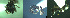  ( - 17S704)  @11 [ ] CreativeCommons  Attribution Non-Commercial Share-Alike (2020) S. Schär; M. Menchetti; E. Schifani Institut de Biologia Evolutiva (CSIC-UPF), Butterfly Diversity and Evolution Lab