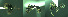  ( - 17S721)  @11 [ ] CreativeCommons  Attribution Non-Commercial Share-Alike (2020) S. Schär; M. Menchetti; E. Schifani Institut de Biologia Evolutiva (CSIC-UPF), Butterfly Diversity and Evolution Lab