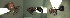  ( - 17S611)  @11 [ ] CreativeCommons  Attribution Non-Commercial Share-Alike (2020) S. Schär; M. Menchetti; E. Schifani Institut de Biologia Evolutiva (CSIC-UPF), Butterfly Diversity and Evolution Lab