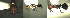  ( - 17S612)  @11 [ ] CreativeCommons  Attribution Non-Commercial Share-Alike (2020) S. Schär; M. Menchetti; E. Schifani Institut de Biologia Evolutiva (CSIC-UPF), Butterfly Diversity and Evolution Lab