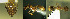  ( - 17S599)  @11 [ ] CreativeCommons  Attribution Non-Commercial Share-Alike (2020) S. Schär; M. Menchetti; E. Schifani Institut de Biologia Evolutiva (CSIC-UPF), Butterfly Diversity and Evolution Lab